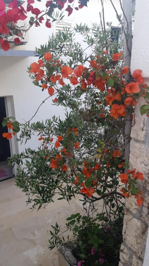 Hvar Deluxe Appartement Hvar Town